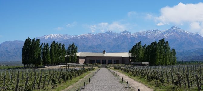 Argentinas vinregioner: En guide till Mendoza och bortom